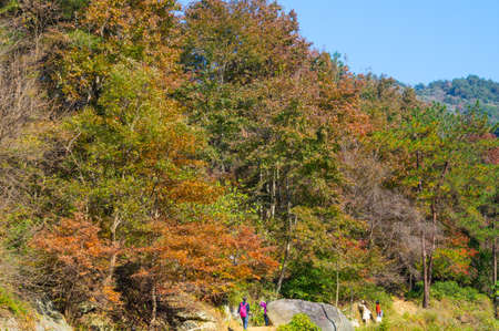 Late autumn scenery of Qingliangzhai Scenic Area in Wuhan, Hubeiの写真素材