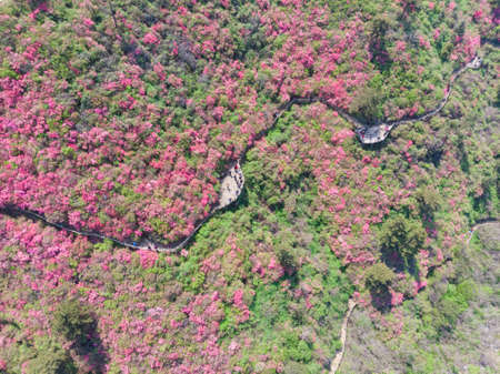 Spring aerial scenery of Huangpi Mulan Yunwu Mountain in Wuhan, Hubeiの写真素材