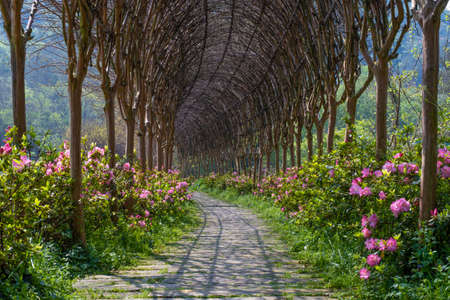 Spring scenery of Huangpi Mulan Yunwu Mountain in Wuhan, Hubeiの写真素材