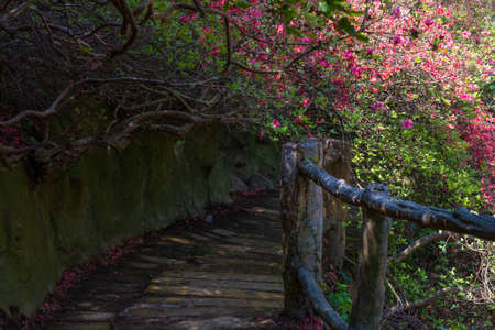 Spring scenery of Huangpi Mulan Yunwu Mountain in Wuhan, Hubeiの写真素材