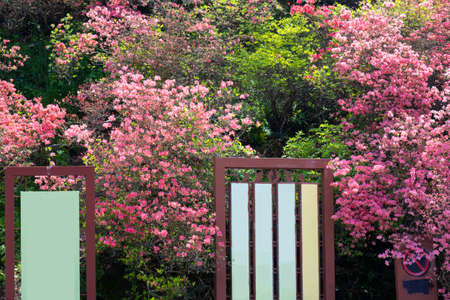 Spring scenery of Huangpi Mulan Yunwu Mountain in Wuhan, Hubeiの写真素材