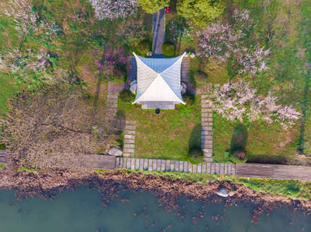 Spring plum blossoms and park scenery in East Lake Plum Garden, Wuhan, Hubeiの写真素材
