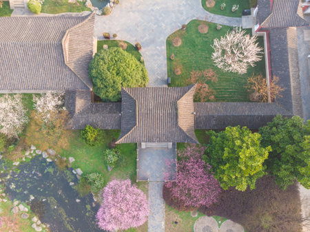 Spring plum blossoms and park scenery in East Lake Plum Garden, Wuhan, Hubeiの写真素材