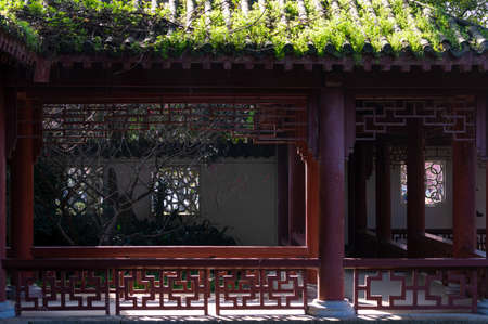 Spring plum blossoms and park scenery in East Lake Plum Garden, Wuhan, Hubeiの写真素材