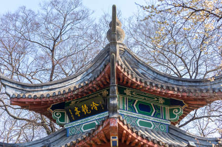 Spring plum blossoms and park scenery in East Lake Plum Garden, Wuhan, Hubeiのeditorial素材