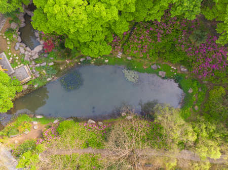 Early spring aerial scenery of Moshan Rhododendron Garden in East Lake, Wuhan, Hubei