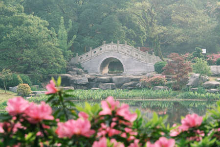 Early spring scenery of Moshan Rhododendron Garden in East Lake, Wuhan, Hubeiの写真素材