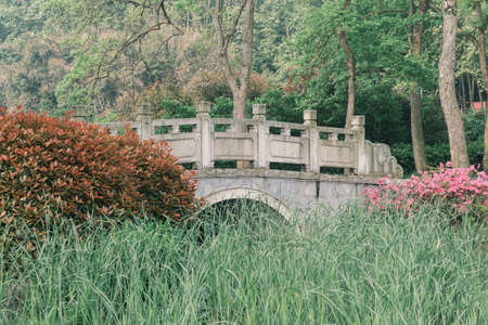 Early spring scenery of Moshan Rhododendron Garden in East Lake, Wuhan, Hubeiの写真素材