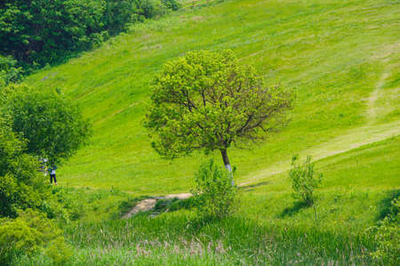 Early summer scenery of Mulan Grassland Scenic Area in Wuhan, Hubeiの写真素材