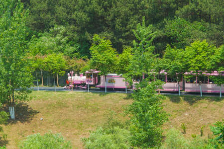 Early summer scenery of Mulan Grassland Scenic Area in Wuhan, Hubeiのeditorial素材