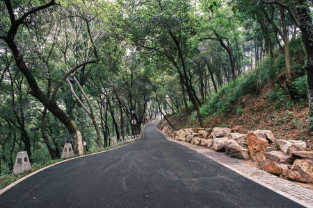 Early summer scenery of Guishan Park in Hanyang, Wuhan, Hubeiの写真素材