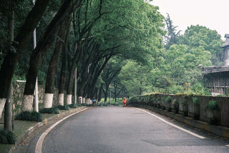 Early summer scenery of Guishan Park in Hanyang, Wuhan, Hubeiの写真素材