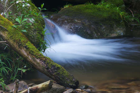 Early summer scenery of Dabie Mountain Bodaofeng Scenic Area in Luotian, Huanggang, Hubei