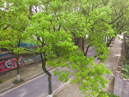 Early summer scenery of Guishan Park in Hanyang, Wuhan, Hubeiのeditorial素材