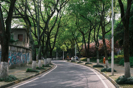 Early summer scenery of Guishan Park in Hanyang, Wuhan, Hubeiのeditorial素材