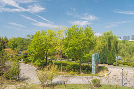 Summer scenery of Hubei Wuhan Garden Expo Parkの写真素材