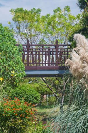 Summer scenery of Hubei Wuhan Garden Expo Parkの写真素材
