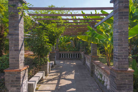 Summer scenery of Hubei Wuhan Garden Expo Parkの写真素材