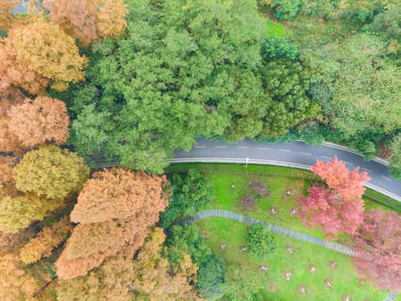 The scenery of Donghu Scenic Area in Wuhan, Hubei in late autumn and early winterの写真素材
