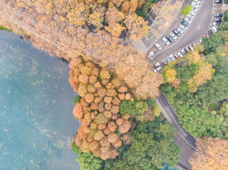 The scenery of Donghu Scenic Area in Wuhan, Hubei in late autumn and early winterの写真素材