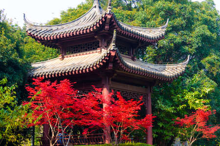 The scenery of Donghu Scenic Area in Wuhan, Hubei in late autumn and early winterの写真素材