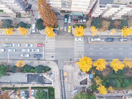 Early winter scenery of Wuhan city, Hubei