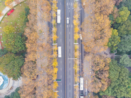 Early winter scenery of Wuhan city, Hubeiの写真素材