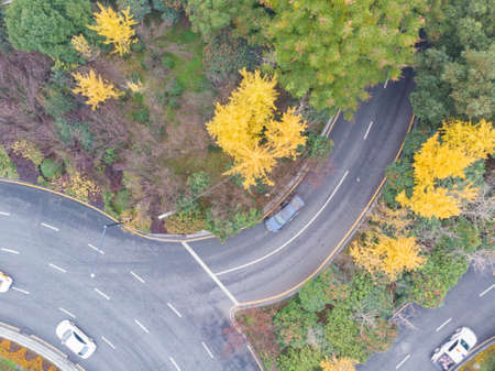 Early winter scenery of Wuhan city, Hubeiの写真素材