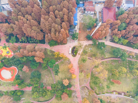 Early winter scenery of Wuhan city, Hubei