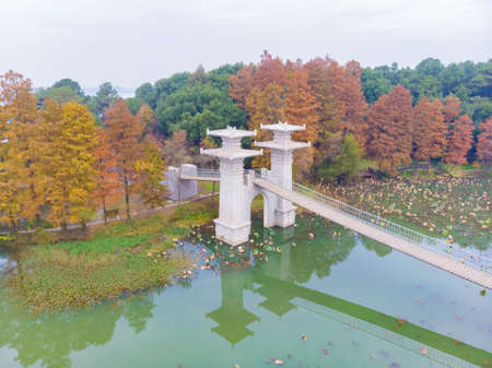 Late autumn and early winter scenery of Luoyan Island in East Lake, Wuhan, Hubei