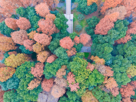 Late autumn and early winter scenery of Luoyan Island in East Lake, Wuhan, Hubeiの写真素材