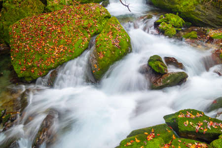 Late autumn scenery of Xiangxiyuan Scenic Area in Shennongjia Forest District, Hubeiの写真素材