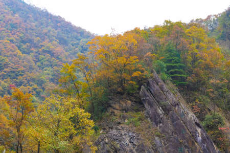 Late autumn scenery of Xiangxiyuan Scenic Area in Shennongjia Forest District, Hubeiの写真素材