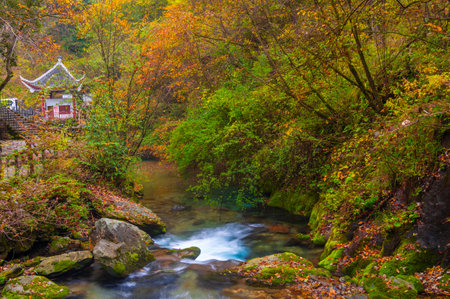 Late autumn scenery of Xiangxiyuan Scenic Area in Shennongjia Forest District, Hubeiの写真素材
