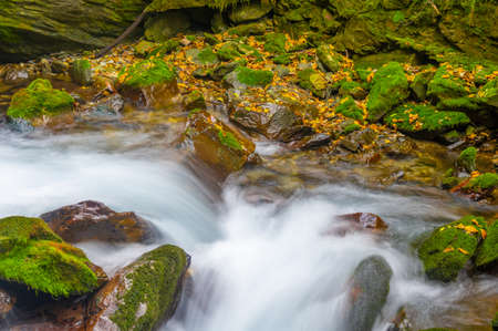 Late autumn scenery of Xiangxiyuan Scenic Area in Shennongjia Forest District, Hubeiの写真素材
