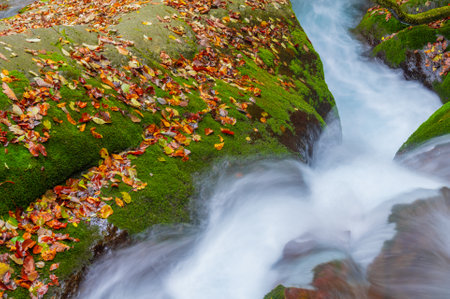 Late autumn scenery of Xiangxiyuan Scenic Area in Shennongjia Forest District, Hubeiの写真素材