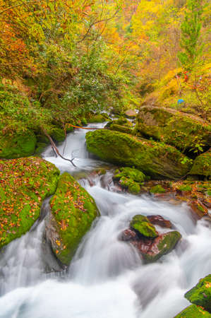Late autumn scenery of Xiangxiyuan Scenic Area in Shennongjia Forest District, Hubeiの写真素材