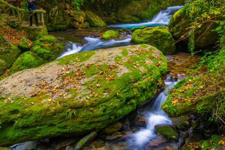 Late autumn scenery of Xiangxiyuan Scenic Area in Shennongjia Forest District, Hubei