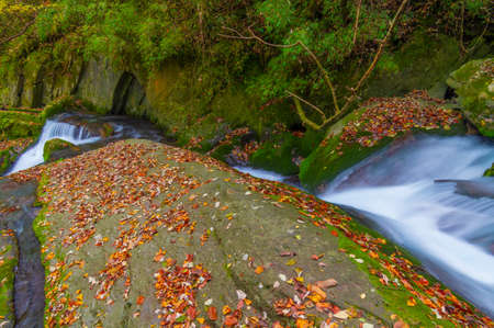 Late autumn scenery of Xiangxiyuan Scenic Area in Shennongjia Forest District, Hubeiの写真素材