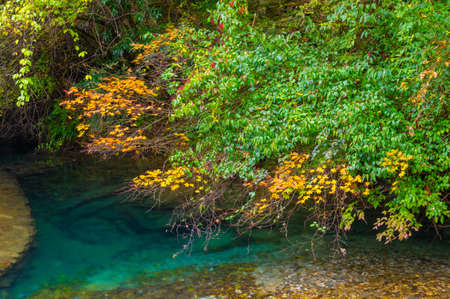 Late autumn scenery of Xiangxiyuan Scenic Area in Shennongjia Forest District, Hubeiの写真素材