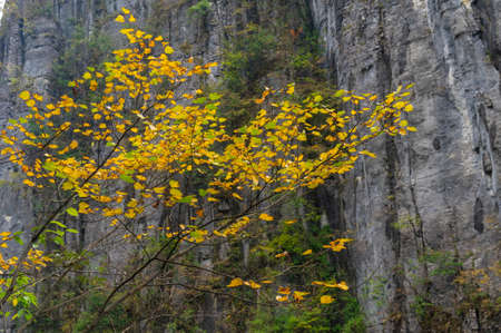 Autumn scenery of Enshi Grand Canyon Scenic Area, Hubeiの写真素材