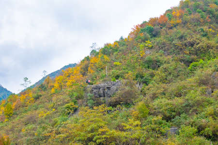 Autumn scenery of Enshi Grand Canyon Scenic Area, Hubeiの写真素材