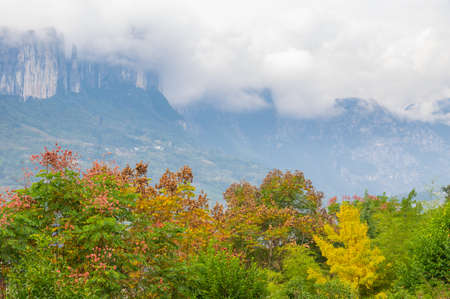 Autumn scenery of Enshi Grand Canyon Scenic Area, Hubeiの写真素材