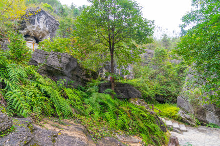 Scenery of Enshi Suobuya Stone Forest Scenic Area, Hubeiの写真素材
