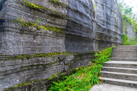 Scenery of Enshi Suobuya Stone Forest Scenic Area, Hubeiの写真素材
