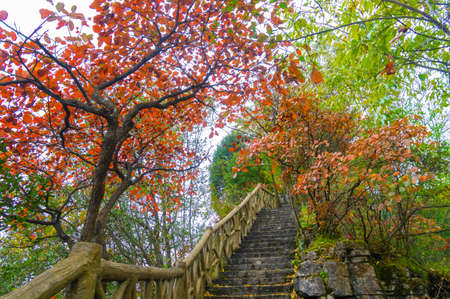 Autumn scenery of Qingjiangye Three Gorges Scenic Area at Jianshi, Enshi, Hubeiの写真素材
