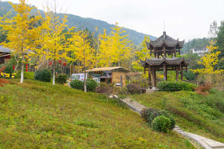 Scenery of Enshi Suobuya Stone Forest Scenic Area, Hubeiのeditorial素材