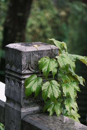 Scenery of Qingchuan Pavilion Park in Hanyang, Wuhan, Hubei