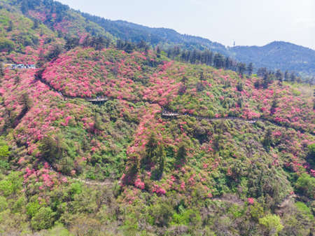 Spring scenery of Huangpi Mulan Yunwu Mountain in Wuhan, Hubeiの写真素材