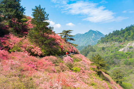 Spring scenery of Huangpi Mulan Yunwu Mountain in Wuhan, Hubeiの写真素材